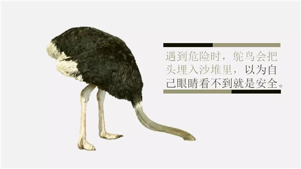 這6個詞，你誤解了任何一個，都能讓你錯過“風(fēng)口”