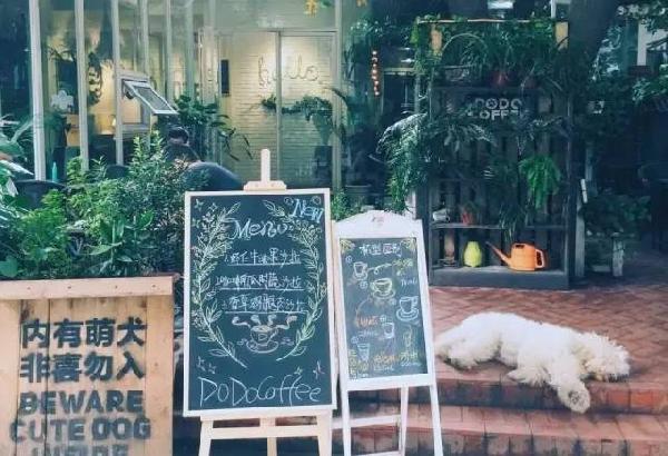 如何開家能賺錢的咖啡館？過來人是這樣算帳的...|餐飲界