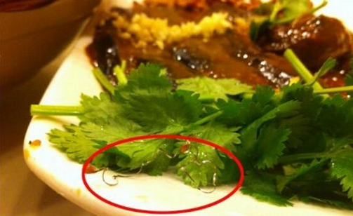 食客在餐廳吃到鋼絲，餐廳被判賠償食客206萬(wàn)，并罰款686萬(wàn)
