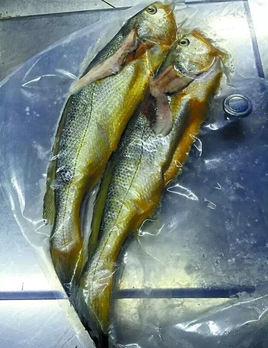 兩條小黃魚賣4628元：沒有菜牌，也沒有價(jià)格公示