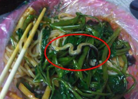 震驚！廣西大學(xué)一螺螄粉店竟然吃出一條蛇！真相是？