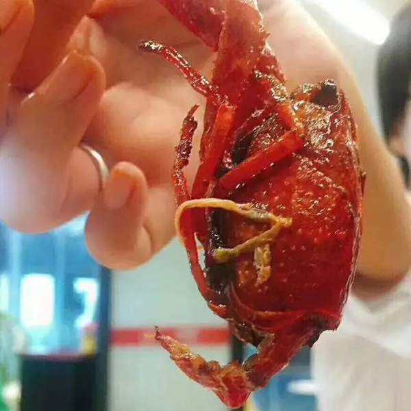 帝都當(dāng)紅小龍蝦測評：誰家的“麻小”在說謊？|餐飲界