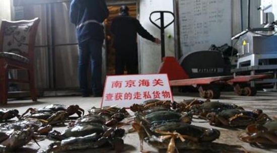 南京破獲2.85億元走私海蟹大案 主要賣(mài)給餐飲連鎖企業(yè)