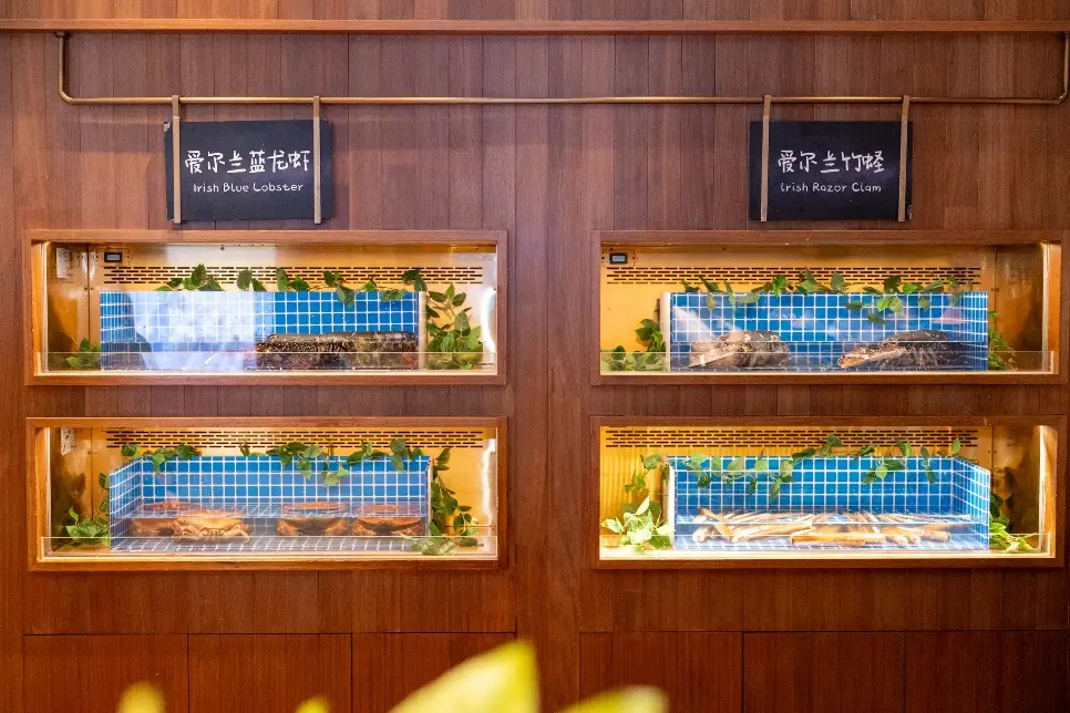 愛爾蘭農(nóng)業(yè)、食品及海事部部長帶團訪華并走訪上海的“愛爾蘭海鮮集市”
