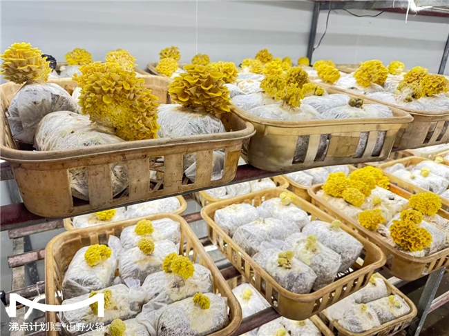 沸點計劃發(fā)布“山海供應(yīng)鏈”戰(zhàn)略：投建十大生態(tài)基地，護航萬店擴張|餐飲界