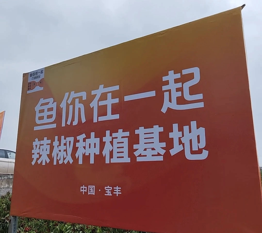 魚你在一起榮獲兩項(xiàng)大獎，展現(xiàn)新質(zhì)生產(chǎn)力下的雇主品牌變革|餐飲界